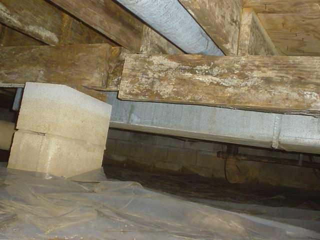 crawl space wood rot